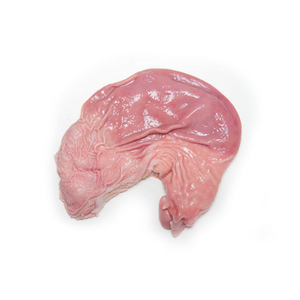 Épaule et cuisse de porc congelées de haute qualité - Product Image 5