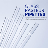 Pipettes Pasteur en verre de 150 mm/230 mm pour laboratoire, fourniture directe usine