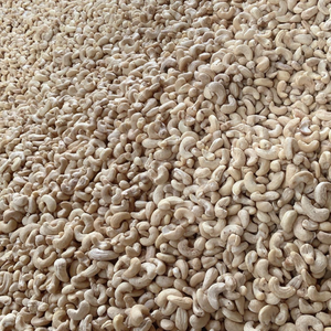 Nueces de Anacardo Secas de Alta Calidad Kaju Badam SANTIGO Nueces de Anacardo W180 W240 W320 Muestra GRATIS - Product Image 1