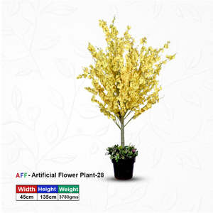 ต้นกล้วยไม้ออนซิเดียมแดนซิ่งเลดี้ปลูกในกระถาง - Product Image 1