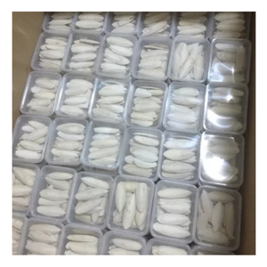 Maravillas de hueso de sepia reveladas: cómo el hueso de sepia apoya la salud del pico, el crecimiento óseo e inspira ideas ecológicas innovadoras - Product Image 2