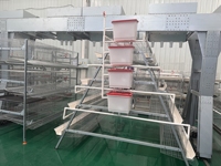 Nouveau système de cages automatiques pour poules pondeuses de type A avec machine d'alimentation automatique – Optimisez l'espace pour les fermes avicoles