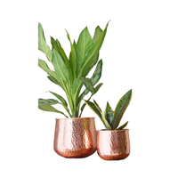 Pot Tanaman Antik Besi Buatan Tangan Desain Asing dengan Dudukan, Dapat Disesuaikan untuk Rumah & Taman, Pemasok Grosir