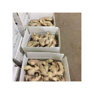รากขิงสดในอัตราขายส่งสำหรับโปรเซสเซอร์เครื่องเทศและผู้จัดจำหน่าย - Product Image 1