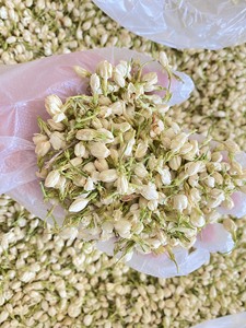 El mejor producto herbal Té de flores de jazmín seco Té con brote entero de Vietnam 2023 Precio de fábrica de alta calidad - Product Image 5