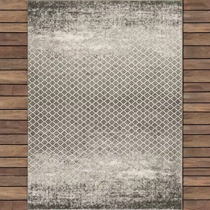 Goldenmoon GR3 Tapis de style méditerranéen réversibles lavables et rembourrés résistants aux taches en polyester fabriqué à la machine-Explore - Product Image 1