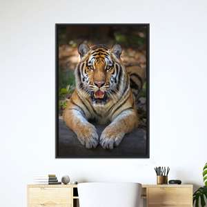 Impression sur toile Tigre couché : Art mural réaliste de chat de la jungle, TOILE ENCADRÉE NOIRE - Product Image 1
