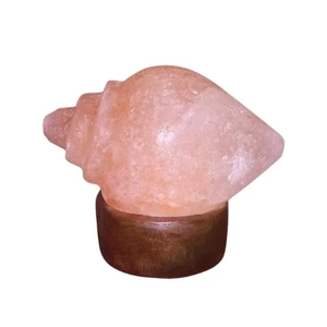 Lampe au sel USB de l'Himalaya Technique sculptée en forme de fleur écologique Durable et élégante - Product Image 1