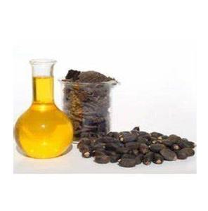 รับน้ำมัน jatropha บริสุทธิ์สำหรับขายในราคาถูกคุณภาพสูงพร้อมส่งทั่วโลก - Product Image 5