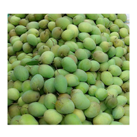 Hoge kwaliteit verse gele mango's, bestseller, goedkoop van 99GD Dong Thap Vietnam, graad A, 12-16cm, 250g