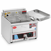 Friteuse électrique de table professionnelle en acier inoxydable, à cuve simple ou double, pour snack-bars et restaurants de restauration rapide