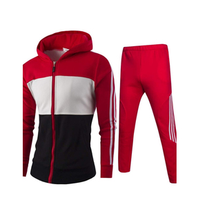 Conjunto de chándal de 2 piezas a la moda para hombre, y pantalón Sudadera con capucha, ropa deportiva de talla grande para primavera, otoño e invierno, bordado chenile - Product Image 1