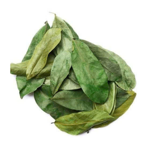 Dried Soursop Leaves Available In Large Quantity Vietnam Dried Soursop Leaves For Brewing - Product Image 1