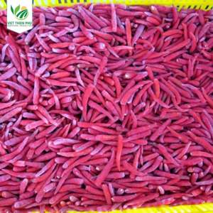 VIET THIEN PHU Vente directe Piments forts surgelés de haute qualité Nouvelle récolte Meilleur prix Brut transformé du Vietnam - Product Image 4