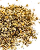 Peralatan Rumah Kaca Lapis Tunggal PVC/PE Berbahan Film Tipis untuk Budidaya Bunga dengan Sistem Hidroponik Chamomile Alami