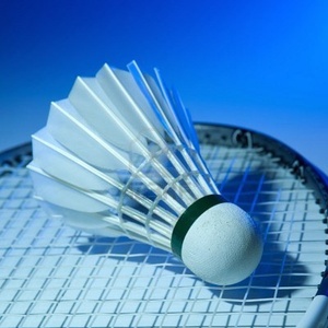 Los Mejores Volantes de Bádminton Ligeros Personalizados para Uso Unisex con Diseño de Logotipo Personalizado - Product Image 2
