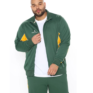 Trajes de chándal personalizables de alta calidad para hombre, cierre de cremallera, opciones de talla grande, última moda deportiva, gimnasio de invierno, precio bajo a granel - Product Image 5