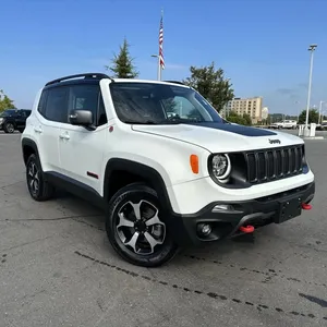 Trailhawk 4WD Jeep Renegade 2020 Usado