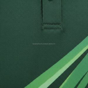 Conjunto de Uniforme de Cricket Sublimado Personalizado para Unisex, Jersey de Manga Corta de Spandex/Algodón de Secado Rápido, Pantalones, Fabricante de Ropa Deportiva para Equipos - Product Image 6