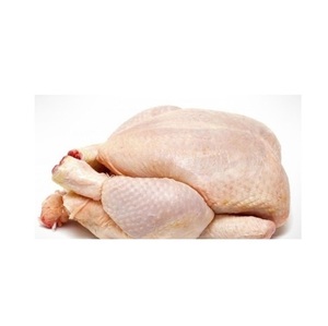 Pollo entero y partes de pollo halal de alta calidad, congelado y de primera calidad - Product Image 2