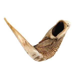 Cuerno de Shofar Pulido de Excelente Calidad al por Mayor, Artesanía Natural de Carnero, Temas Religiosos, Náuticos, Musicales y Animales, Europa, 30-45cm - Product Image 3