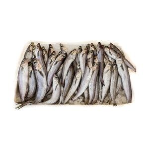 Bán buôn đông lạnh màu xanh Whiting poutassou cung cấp số lượng lớn giá thấp cá tự nhiên - Product Image 3