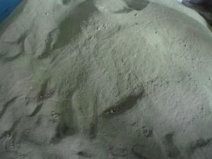 ผงสาหร่ายสีเขียวผลิตภัณฑ์สาหร่ายแห้ง - Product Image 2