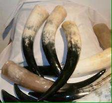 100% naturel Viking nautique sculpté corne à boire écologique décoration de la maison fabriqué à la main corne de vache pas cher le plus exigeant - Product Image 4