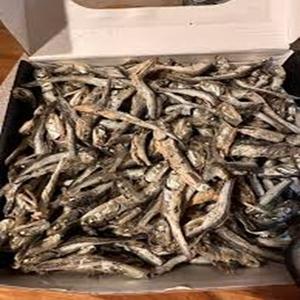 Anchoas Secas de Primera Calidad, Producto de Calidad Premium de Nueva Cosecha, Precio Competitivo - Product Image 5