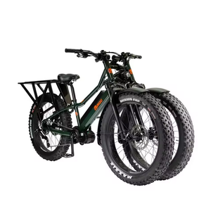 Quality Hot Selling New Rungu Dualie Steep 1120W 52V Adult Electrics Bike With 2-Year Warranty Ready to Ship - Product Image 2
