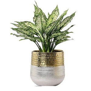 厂家直销批发金属花瓶双色白色和金色成品餐具客厅装饰花小区 - Product Image 1