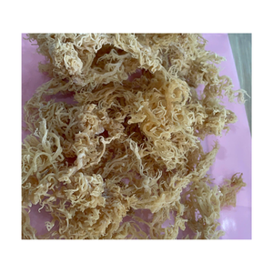 Mousse de mer séchée du Vietnam Eucheuma Cottonii Algues mousse irlandaise crue pour mélanger les recettes de salade de smoothies et la fabrication de gel de mousse de mer - Product Image 2