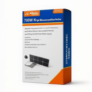 Panneau solaire monocristallin PERC de type N de 700 W avec couvercle avant en verre, emballage sur palette - Product Image 2
