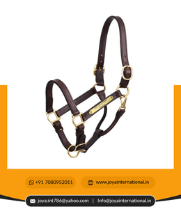 Fournisseur d'équipement d'équitation 1 "Xl Stallion Premium Leather Show Halter avec plaque signalétique pliable non pérenne - Product Image 4