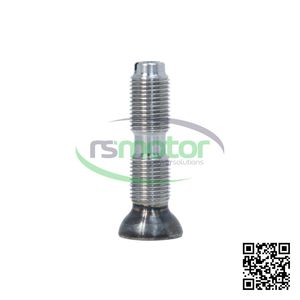 Tornillo de Ajuste Original OEM para Controladores de Motor MWM RS-12313194 - Product Image 5