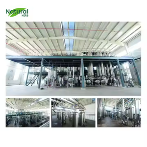 <span class=keywords><strong>Henna</strong></span> Folhas Em Pó Ervas Atacado Extrato Vegetal 100:1 Suplementos De Imunidade China Fornecimento <span class=keywords><strong>Henna</strong></span> Folhas Extrato