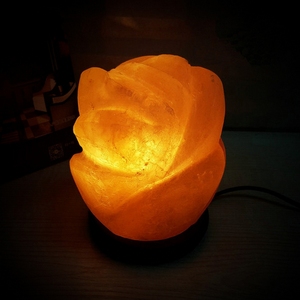 Lampe de sel de l'Himalaya USB 600g sculptée en forme de rose, lampe de bureau avec lumière LED RVB, ampoule 10cm 1W et base en bois - Product Image 1
