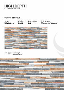Carreaux de mur extérieur en porcelaine 300x600mm Finition extérieure - Product Image 3