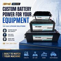 Paket Baterai Lithium 24V 350Ah Kustom LiFePO4 untuk Traksi Forklift, Stacker, AGV, Platform Kerja Udara dengan BMS Cerdas