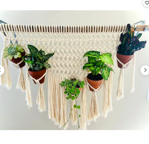Handmade Cotton Cord Twested Customized Macrame Plant Hanger for <b>Wall</b> and Window Decoration - Product Image 2