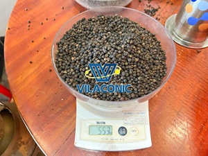 High Quality <b>Black</b> Pepper 500G/L Dried Spices Vietnam Association Raw <b>Turmeric</b> Preserved Oil - Product Image 4