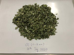 ตะไคร้แห้งคุณภาพสูงสำหรับตลาดต่างประเทศ - Product Image 4