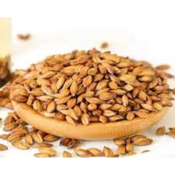 Лучшая цена, зерно ячменя для солода | Ячмень для корма для животных, в наличии, с индивидуальной упаковкой