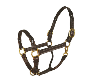 Gấp dây da xoắn <span class=keywords><strong>Havana</strong></span> - Product Image 6