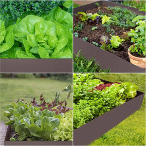 Vente en gros de bordures de paysage Métal Acier galvanisé Gazon extérieur Patio Articles de jardin Jardinière Légumes Fleurs Herbes OEM ODM - Product Image 5