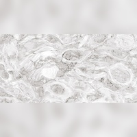 Ethereal Gloss Glasierte Porzellanfliesen 600x1200mm Moderne Rutschfeste Außenbereich-Fliesen Nahtlose Mischung für Supermärkte