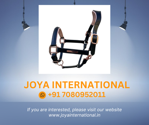 Pour les raccords en laiton de licou de cheval en cuir Hollywood avec plaque signalétique gravée Potable pour licou en cuir Hollywood - Product Image 2