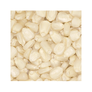 Maíz blanco de primera calidad disponible para pedidos al por mayor directamente de los productores - Product Image 2