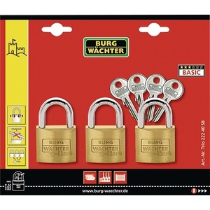 BURG-WCHTER Trio 222 40 <b>Padlock</b> Set 6 mm Shackle Diameter and 22 mm Shackle Height Shackles - Product Image 1