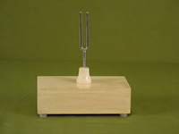Boîte de résonance de haute qualité 100% qualité export pour laboratoire de physique scolaire avec finition en bois poli 350g